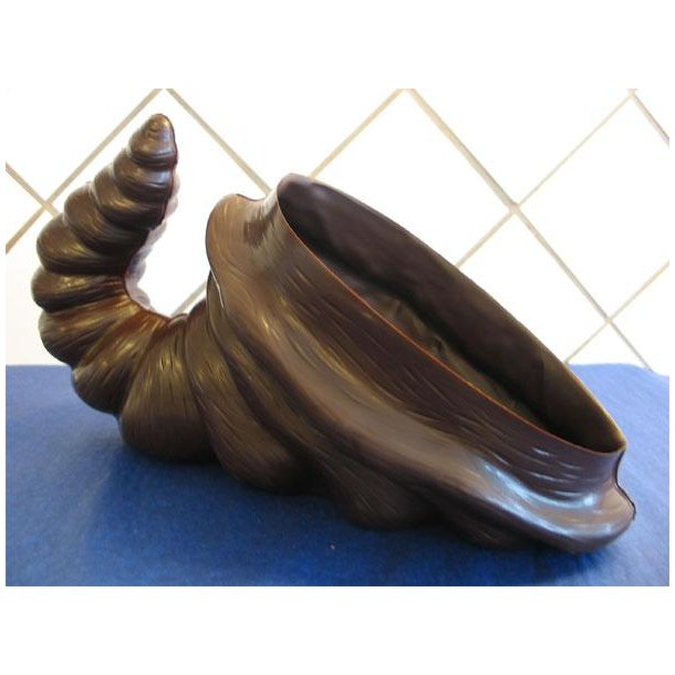 Overfl�dighedshorn