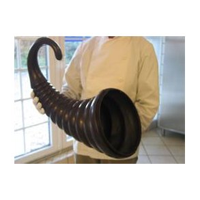 Kmpe overfldighedshorn